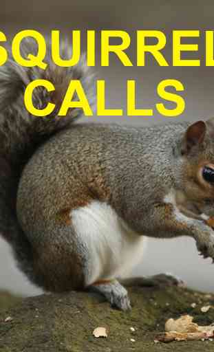 Squirrel Hunting Calls 1