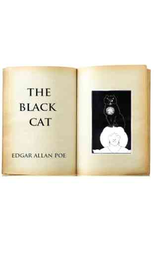 The Black Cat audiobook 1