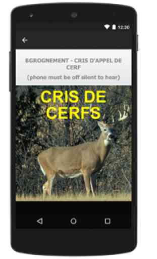 Cris De Cerfs 3