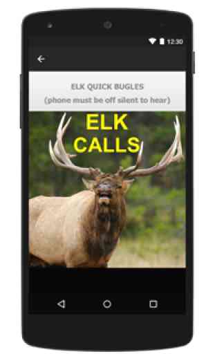 Elk Bugle & Elk Calls 2