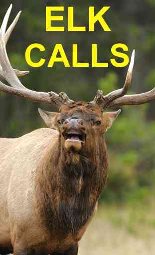 Elk Bugle & Elk Calls 4