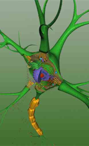 EON 3D Neuron Structure 2