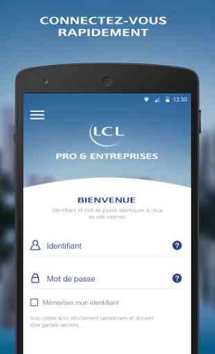 Pro & Entreprises LCL 1