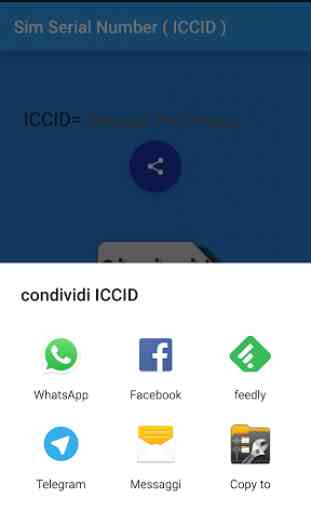 Sim Serial Number ( ICCID) 3