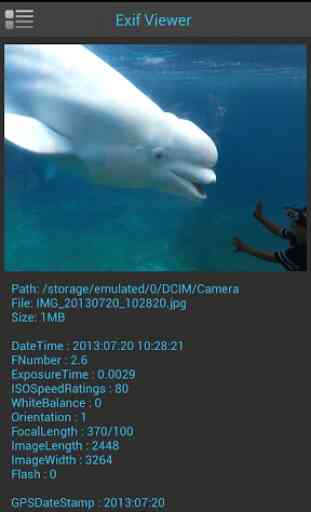 Simple Exif Viewer 1