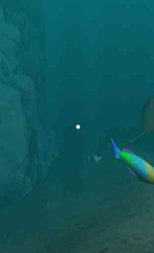 Underwater VR 1