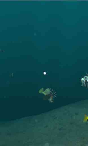 Underwater VR 2