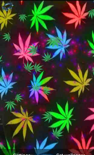 Weed Marijuana Live Wallpaper 2