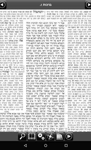 Wolfson Talmud 2