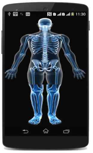 X Ray Body Scanner Prank 3