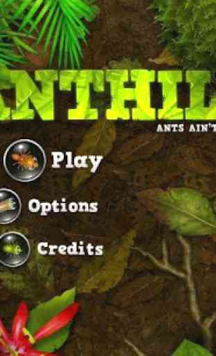 Anthill Lite 1