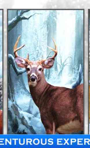 Deer Hunter 3D 2,016 Arctique 3