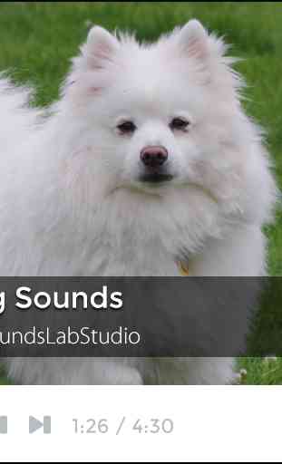 Dog Sounds 1