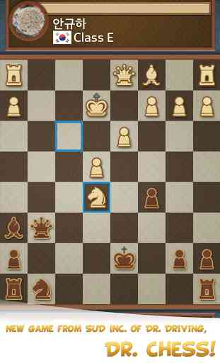 Dr. Chess 3