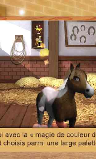Petit bébé cheval 2