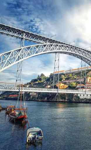 Porto Football Fonds d'écran 4
