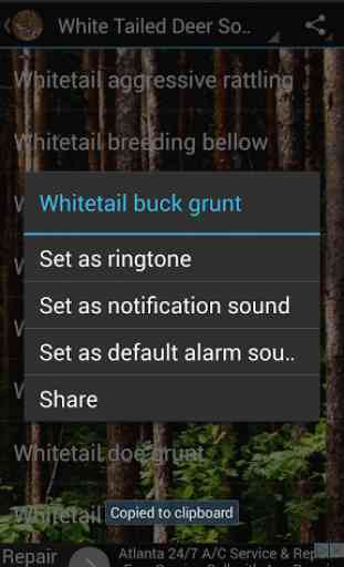 White Tailed Deer Soundboard 3