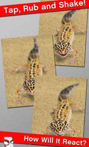 Angry Gecko Free! 2