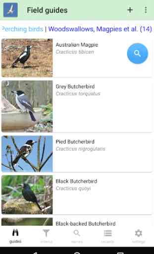 Australian Birds Guide 1