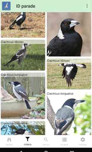 Australian Birds Guide 3