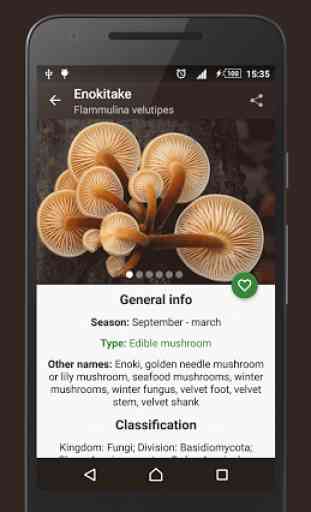 Book of Mushrooms PRO 1