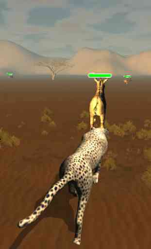 Cheetah Chase Simulator 3