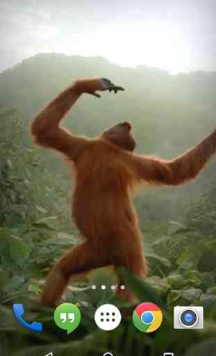 Dancing Monkey HD Live Wall 1