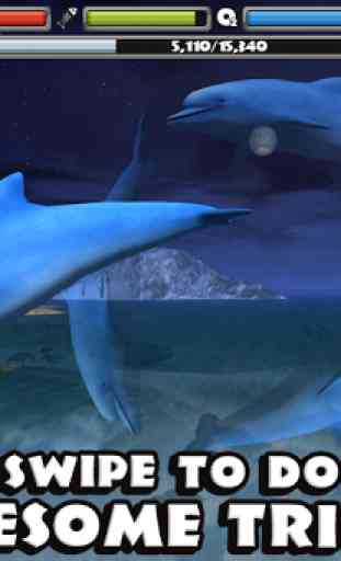Dolphin Simulator 3