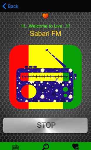 Guinea Radio 4