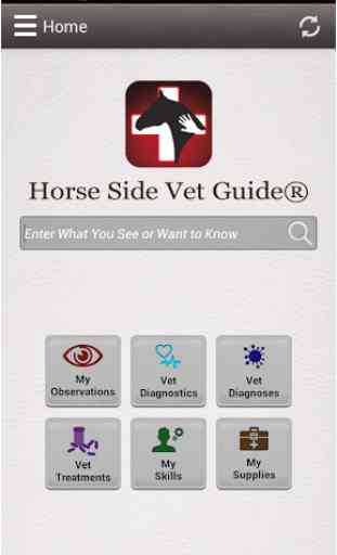 Horse Side Vet Guide 2