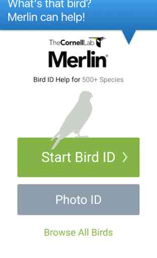 Merlin Bird ID by Cornell Lab 1