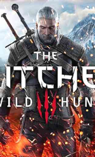The Witcher 3 - New 1