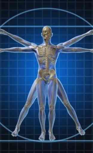 Anatomie humaine, la physiolog 2