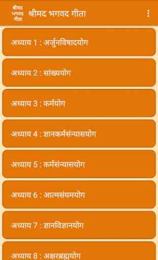 Bhagavad Gita in Hindi 2