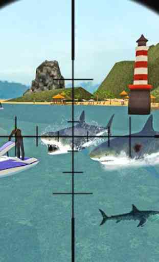 Chasse shark colère et sniping 4
