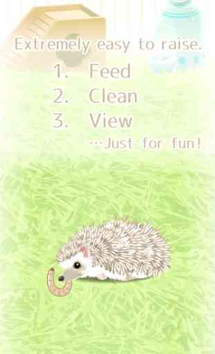 Hedgehog Pet 2