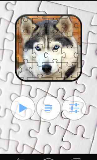Husky Jigsaw Puzzle 1