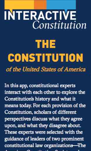 Interactive Constitution 1
