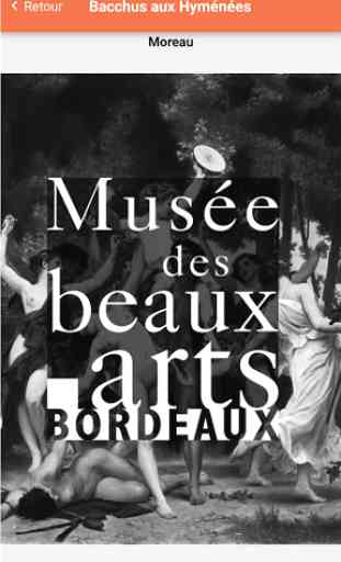 Musée des Beaux Arts Bordeaux 3