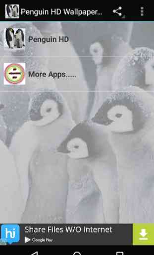 Penguin Wallpaper HD 1