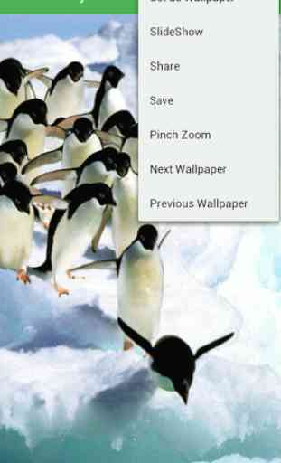 Penguin Wallpapers 3