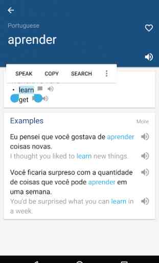 Portuguese English Dictionary 1