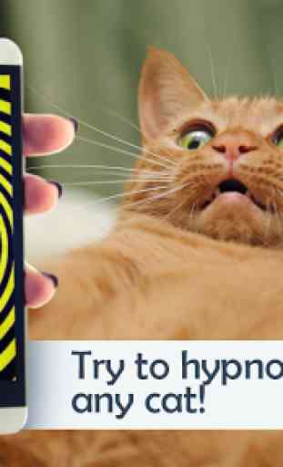 Chat Hypnose. Simulateur 1