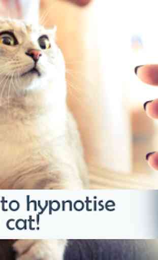Chat Hypnose. Simulateur 3