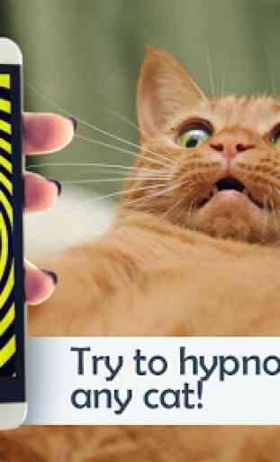 Chat Hypnose. Simulateur 4