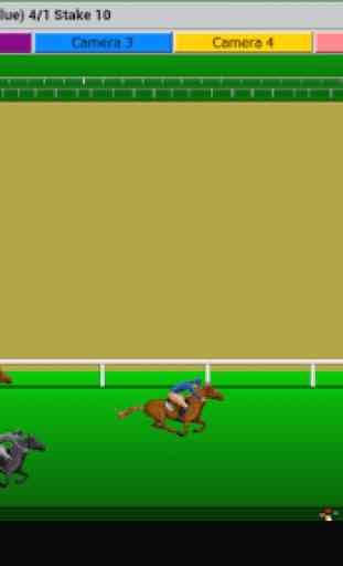 Flat Race Horse Racing 2