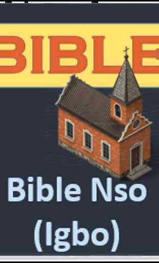 IGBOB BIBLE, Bible Nso 1