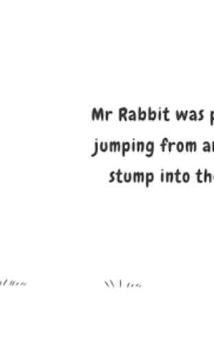 Mr Fox & Mr Rabbit 2