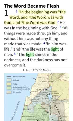 NLT Bible by Olive Tree 1