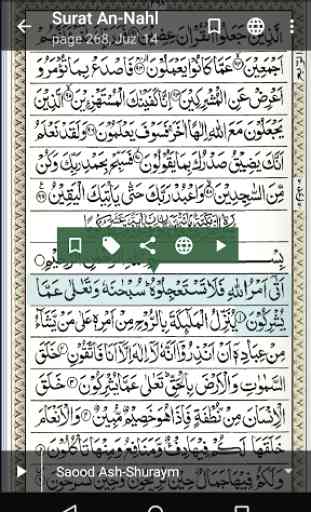 Quran - Naskh (Indopak Quran) 4